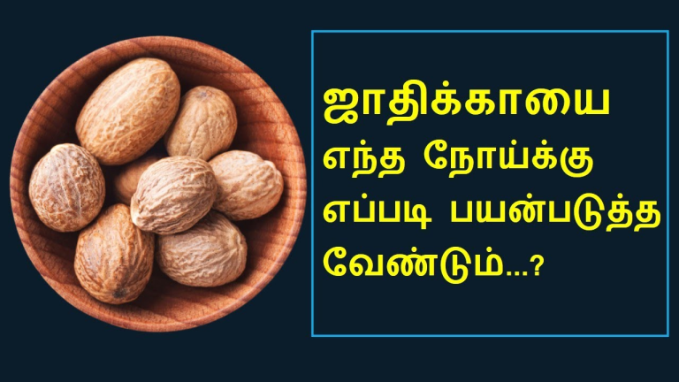 ஜாதிக்காய் பயன்கள் Nutmeg – Jathikai Uses in Tamil