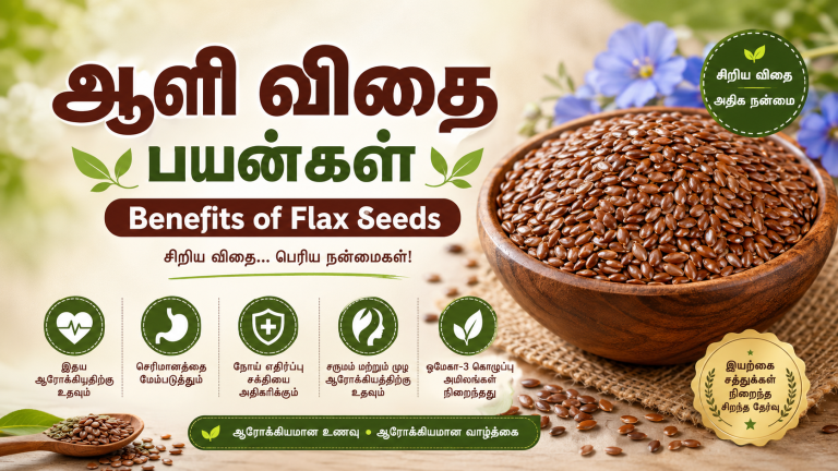ஆளி விதை பயன்கள் | Benefits of Flax Seeds in Tamil Benefits of Flax Seeds in Tamil