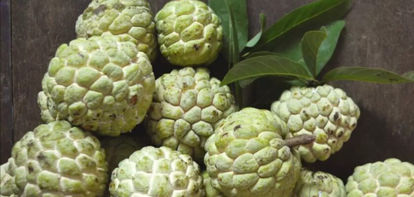 சீத்தாப்பழதின் சுவாரஸ்யமான ஆரோக்கிய நன்மைகள்