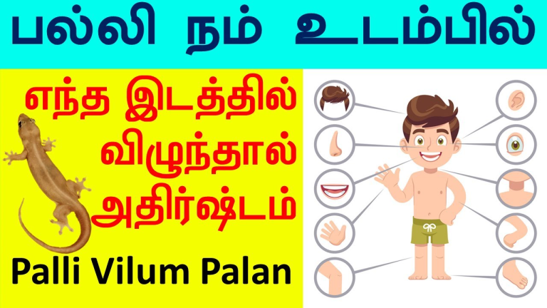 பல்லி விழும் பலன்கள்