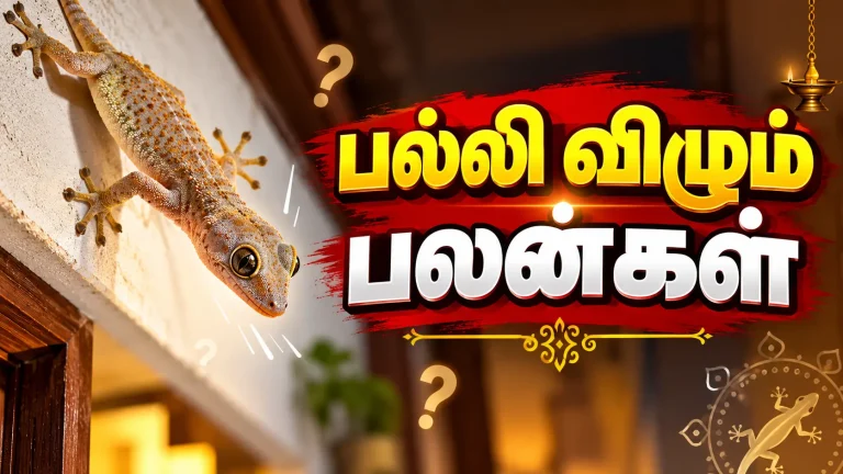 பல்லி விழும் பலன்கள் பல்லி விழும் பலன்கள்