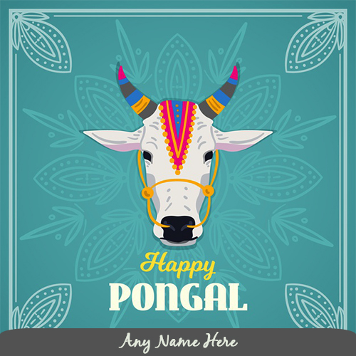 happy pongal 2024
