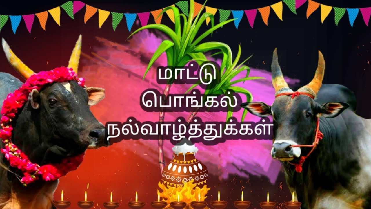 mattu pongal wishes in tamil