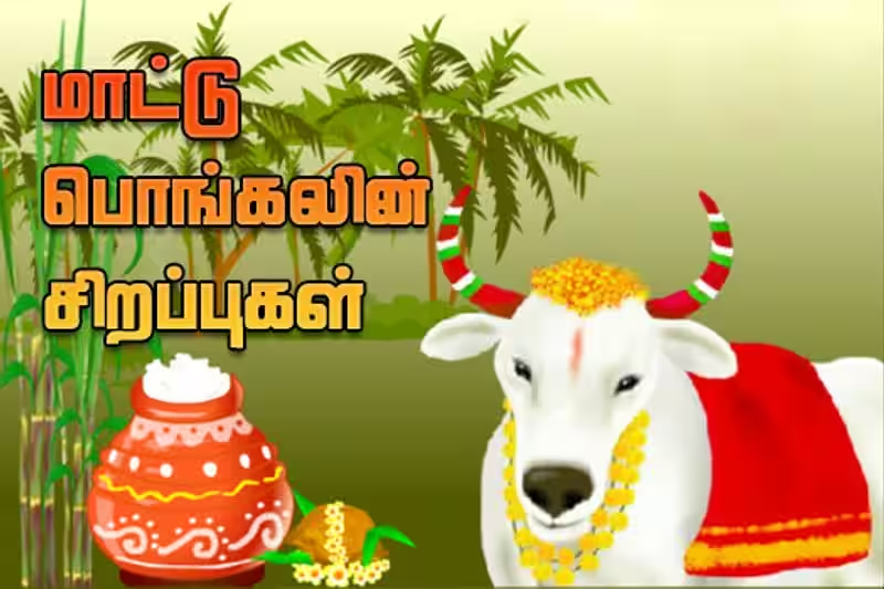 mattu pongal wishes