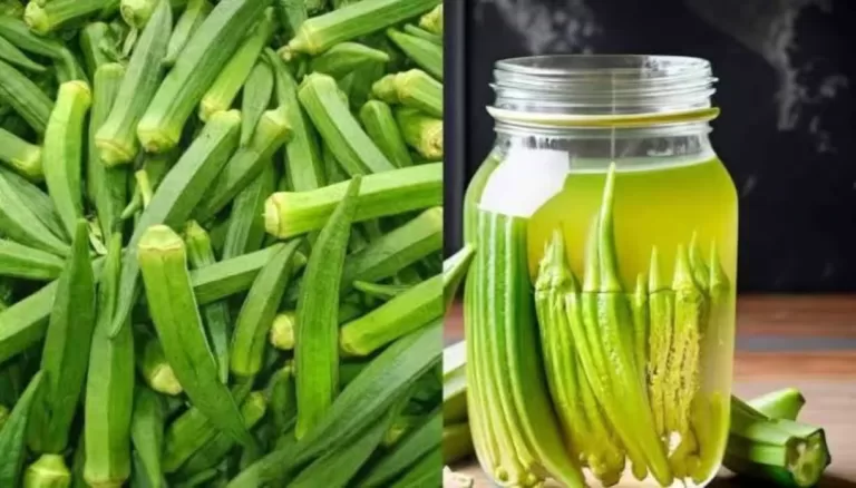 9 அற்புதமான வெண்டை நீரின் நன்மைகள் – வெண்டைக்காய் ஊற வைத்த நீர்